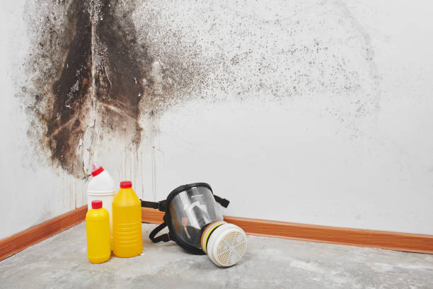 Best Water Damage Restoration  in Pleasant Hill, OH