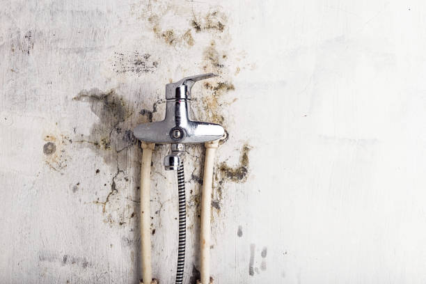 Trusted Pleasant Hill, OH Mold Removal Experts