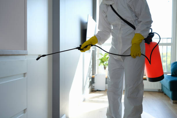 Best Mold Remediation  in Pleasant Hill, OH