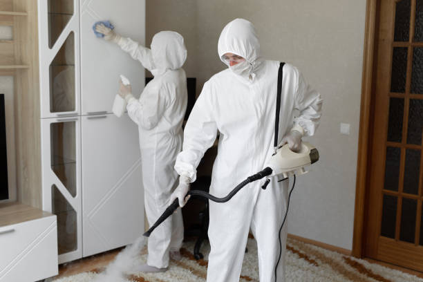 Best Residential Mold Removal  in Pleasant Hill, OH